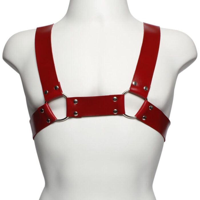 Arreio-Aquiles-Harness