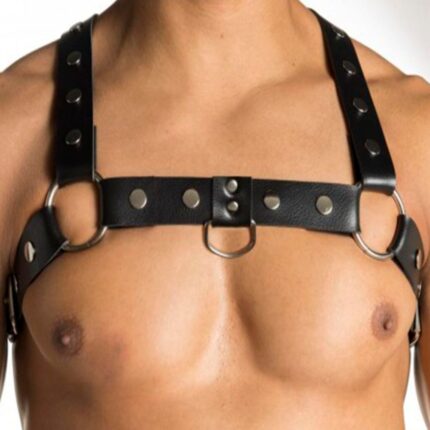 Harness-arreio-em-couro-sintetico-em-formato-H-SD