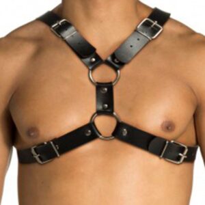 Harness-arreio-em-couro